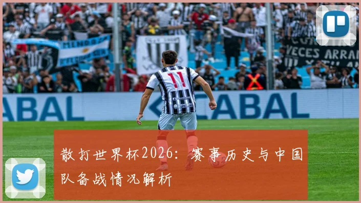 散打世界杯2026：赛事历史与中国队备战情况解析