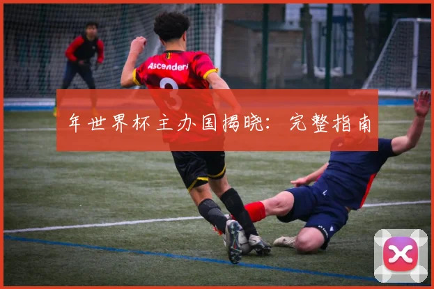 年世界杯主办国揭晓：完整指南