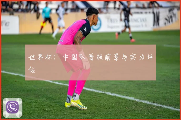 世界杯：中国队晋级前景与实力评估