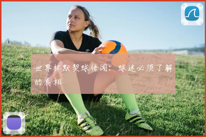 世界杯默契球传闻：球迷必须了解的真相