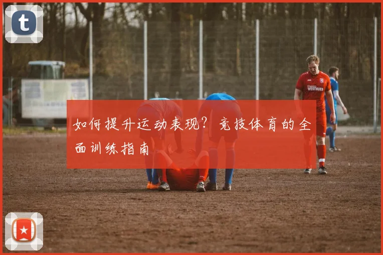 如何提升运动表现？竞技体育的全面训练指南